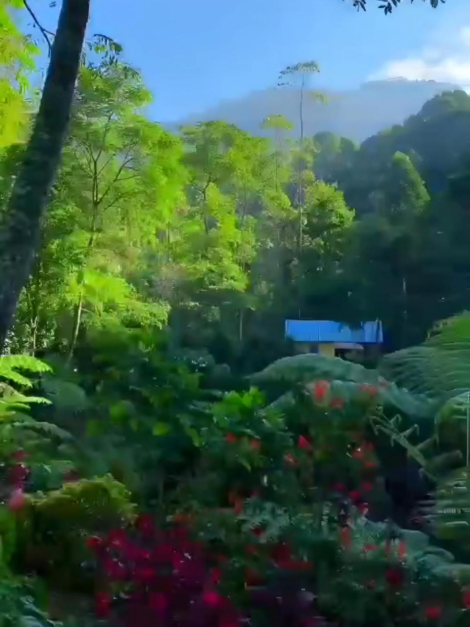 Penginapan Nuansa Riung Gunung Hotel Pangalengan Esterno foto